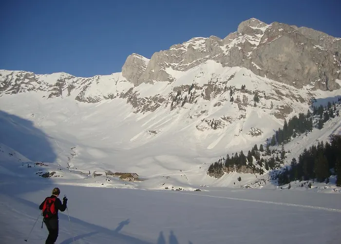 Plein Soleil Hotel 2*