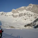 Plein Soleil Hotel 2*