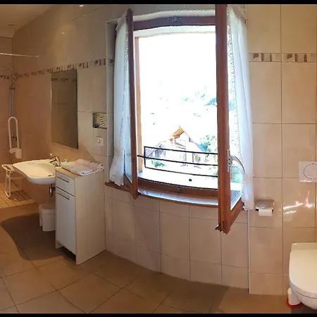 Plein Soleil Otel Vacheresse